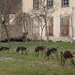 Ants_80_cm_square
