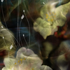 Cherryblossom1_thumb