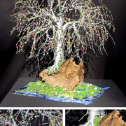 Bonsai_island_composit_card