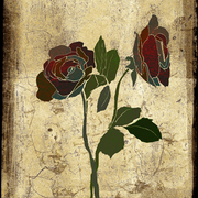 Roses_bd_card