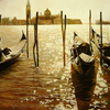 50_x_60_cm_reflejos_sepias