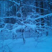 Dsc00085_card