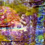 Glimpse_card