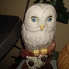Carlmadethisowlhandpainted_001_thumb_thumb