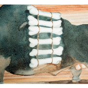 09_card