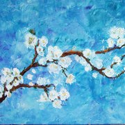 Almendro_003_card