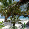 1477-palm_beach_florida_thumb
