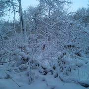 Dsc00048_card