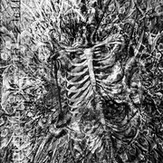 Ephemeral2_card