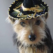 Img_2001_card