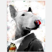 N522236434_1426149_5231542_card