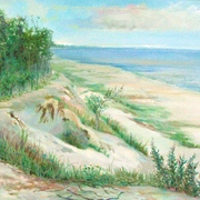 P7024510_card