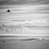 Norcal_surf_thumb