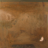 2007