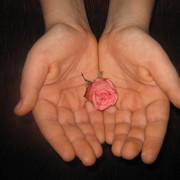 Img_1267_card