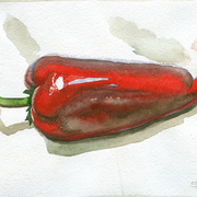 2006-pepper4_6mb_card