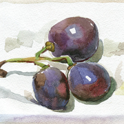 2005-three-grapes4mb_card