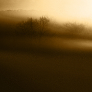 Morning_moods_card