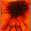 Elevation_thumb