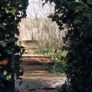 Ivy_garden_1_card