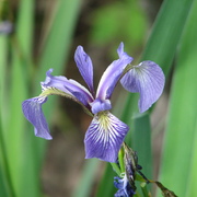 Img_6195_card