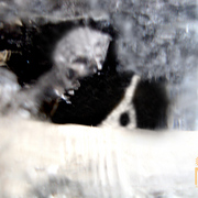 Ghostonice2_card