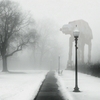 Foggy_atat1_thumb