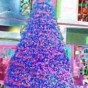 My_xmas_card