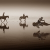 Horsespeeder_thumb