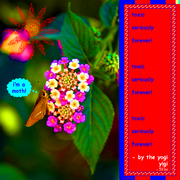 I_m_a_moth_card