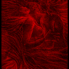 Lovers_in_the_night_thumb