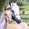Ponies_-_fini_thumb