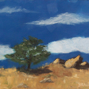 0816--windy-ridge_card
