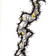 Sb5_card