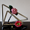 Ikebana-171_thumb
