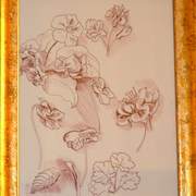Dscf2668_card