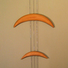Echotrace_thumb
