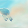 Sheep_thumb