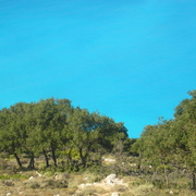 P2010067_card