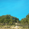 P2010067_thumb