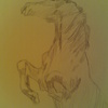 011_thumb