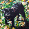 Zoey_cropped1_thumb