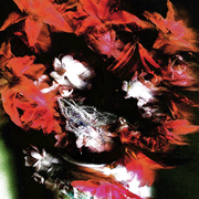 Pot_of_red_flowers_card