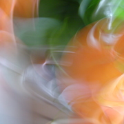 Dsc04825_card
