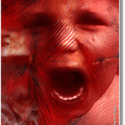 Victims_2_card