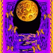 Moon-butterflies-golden-jas_card
