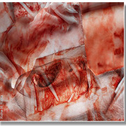 Victims_3_card