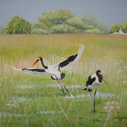 Img_0943_card