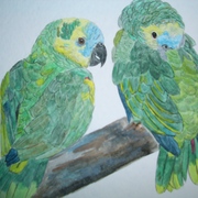 Amazons_card