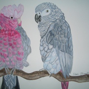 Cimg3909_card